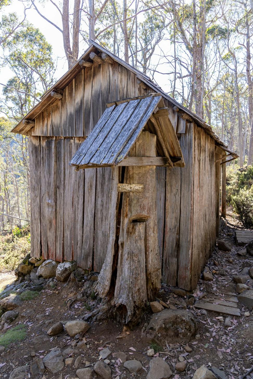 Pioneer Cabin Restoration