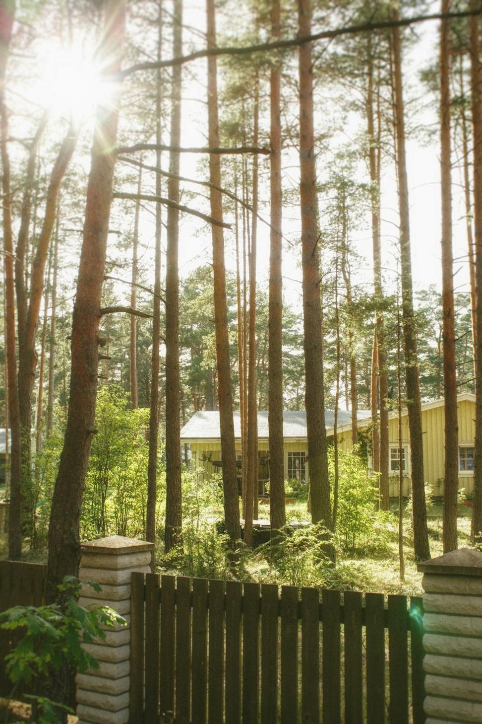 Forest Haven Eco-Resort