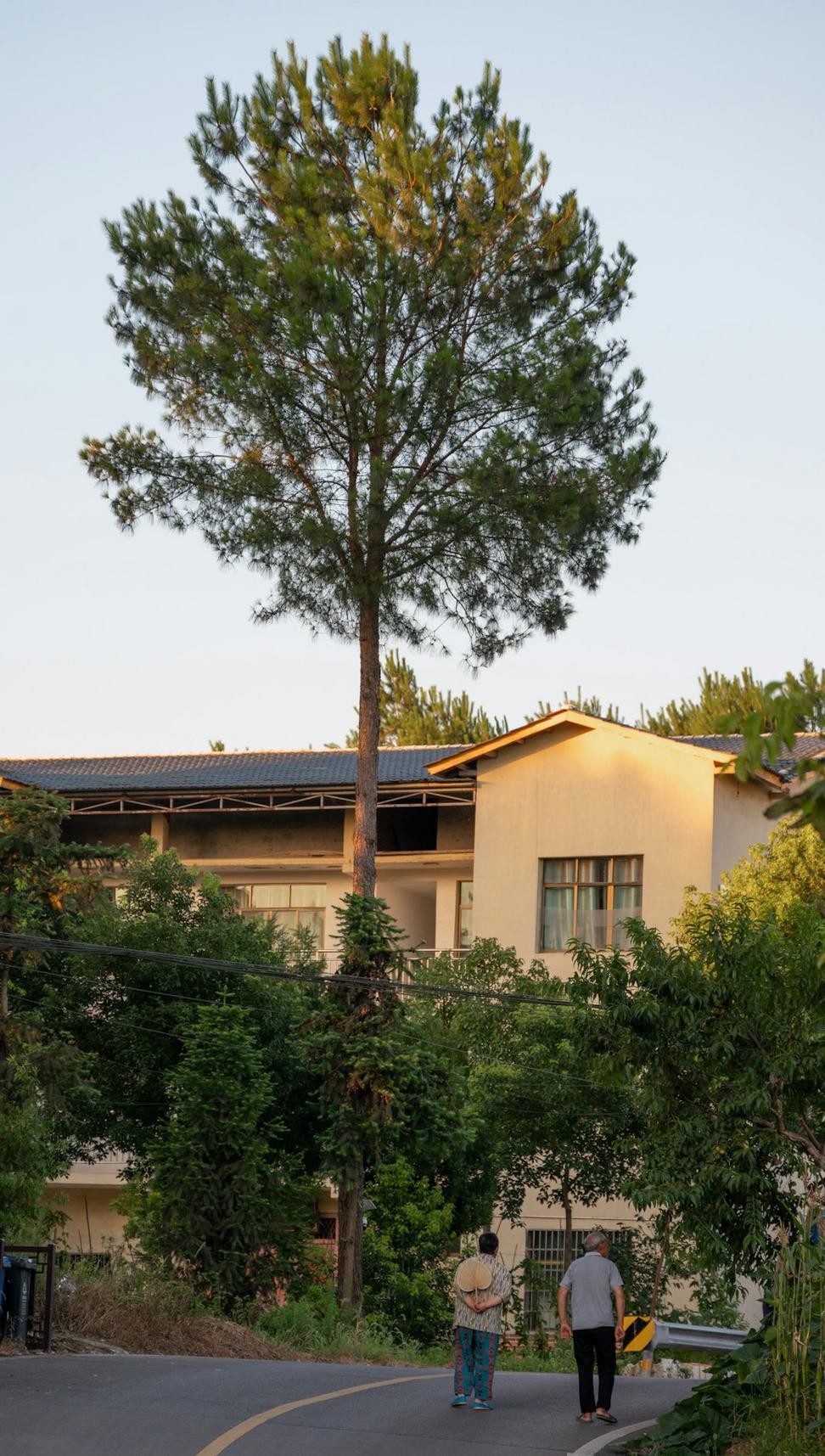 Green building
