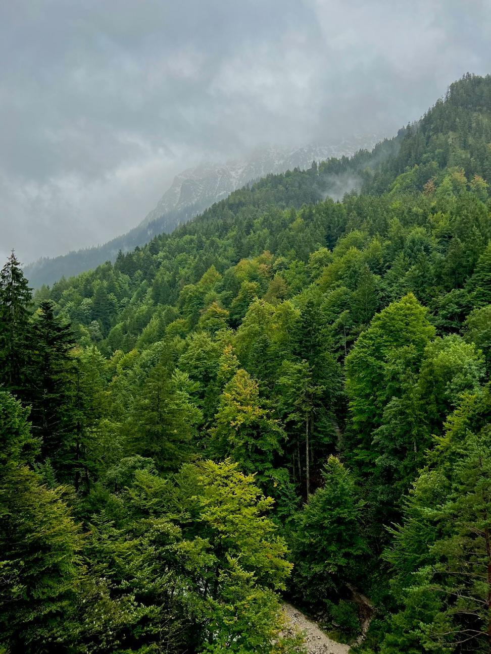 Sustainable Mountain Architecture