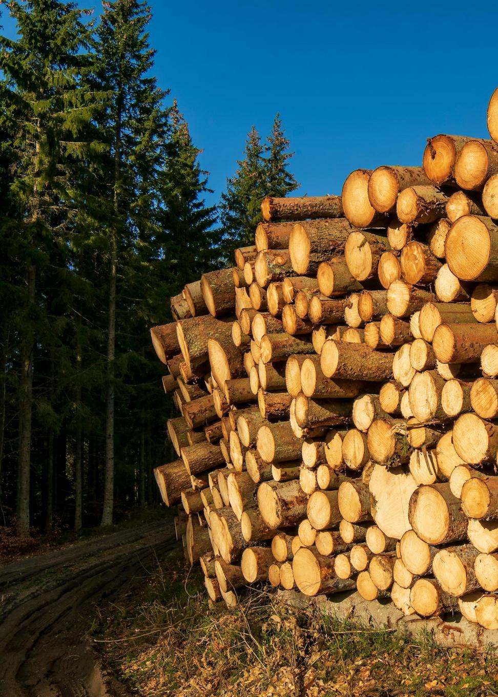 Sustainable construction